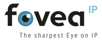 fovea-the-sharpest-Eye-on-IP