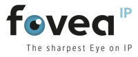 fovea-the-sharpest-Eye-on-IP fovea-the-sharpest-Eye-on-IP